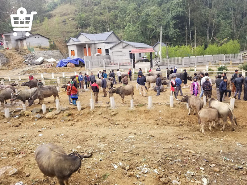 Một trong các mặt hàng được nhiều du khách "săn lùng"