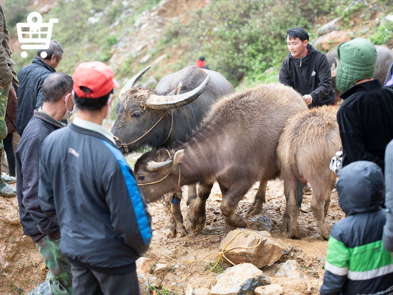 Những mặt hàng có lẽ chỉ tại chợ phiên Lào Cai mới có