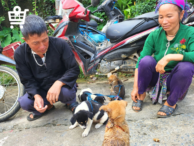 Khám phá những sản phẩm độc đáo tại chợ phiên Bắc Hà